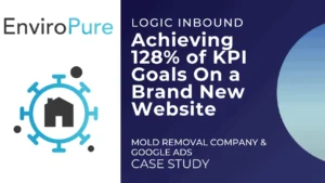 new mold removal website case study
