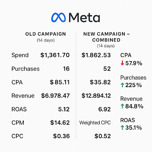 ski monster meta ads case study